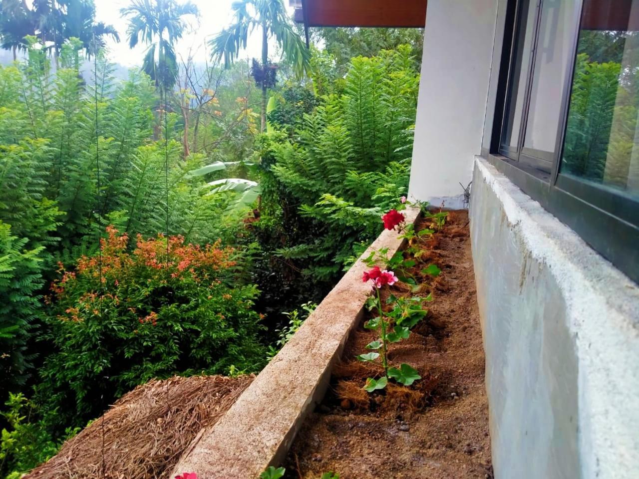 Отель Ella Nine Arch Spice Garden Номер фото